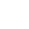 White Squirrel Web Design